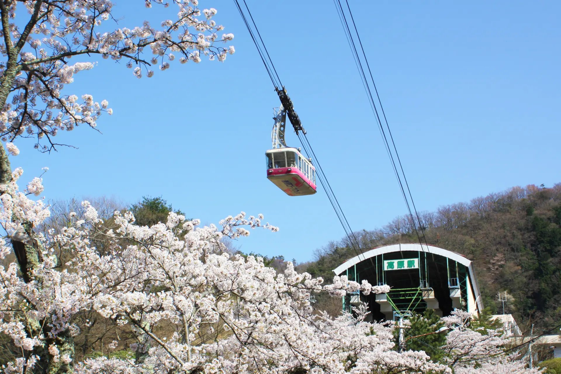 🎡 벳푸 케이블 라쿠텐치 이미지 6